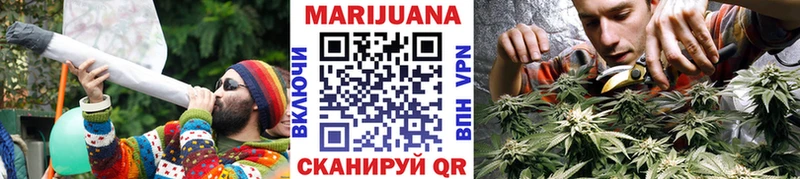 Шишки марихуана SATIVA & INDICA  наркотики  Могоча 
